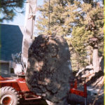 The Boulders that Work as a Retaining Wall