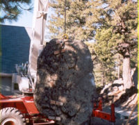 Rock Gardens & Retaining