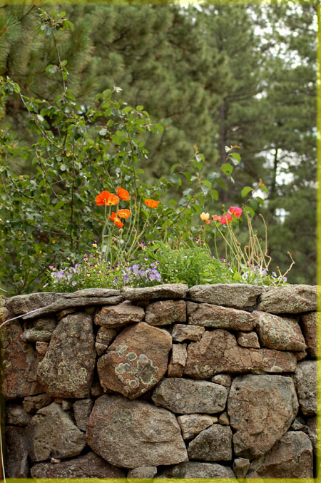 Retaining Walls for Commercial and Residential Landscaping.