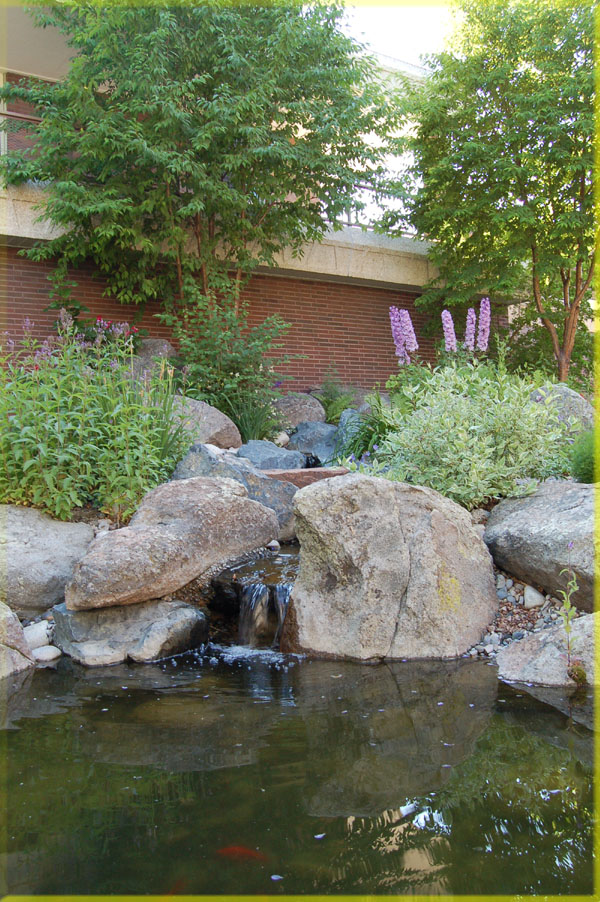 Montana Landscape Design with Water feature