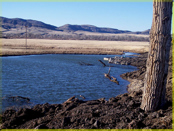 Completed, Bozeman Pond Water Feature